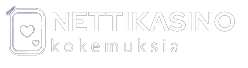 nettikasinokokemuksia.net logo